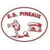 ENT.S. LES PINEAUX